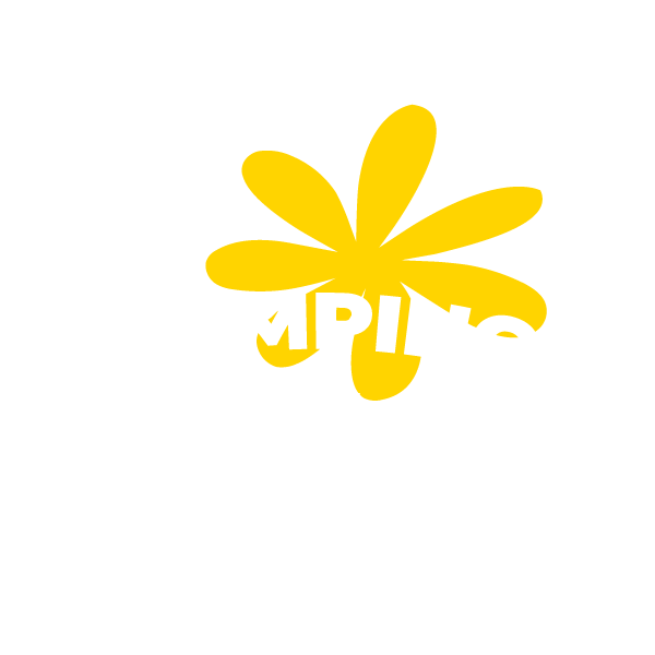 logo flower camping de la Foret blanc